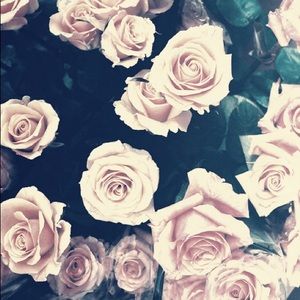 Meet your Posher, Kara